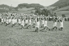 Turnfest Bühler