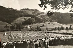 Turnfest Bühler